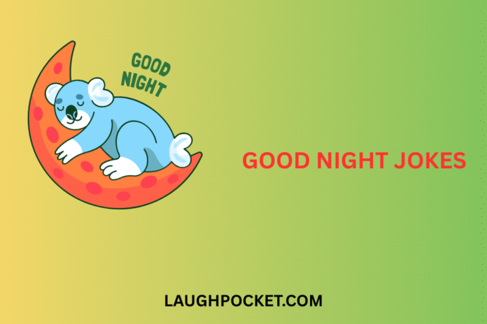 GOOD NIGHT JOKES