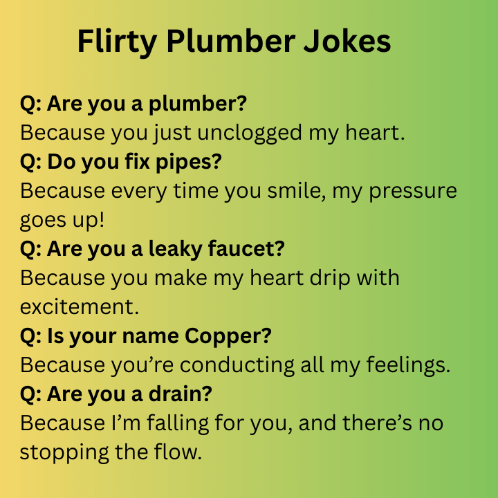 Flirty Plumber Jokes