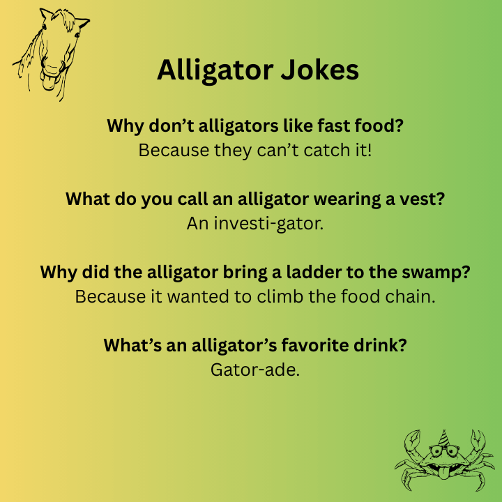 Alligator Jokes