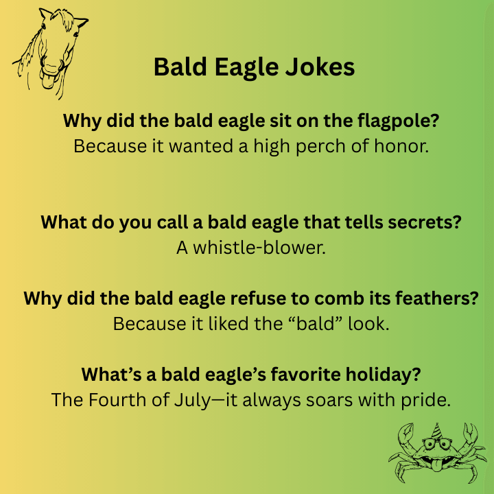 Bald Eagle Jokes