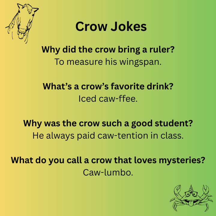 Crow Jokes