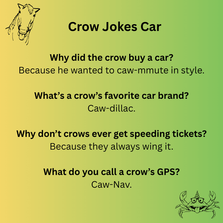 Crow Jokes Car