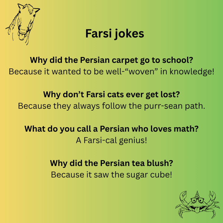 Farsi jokes