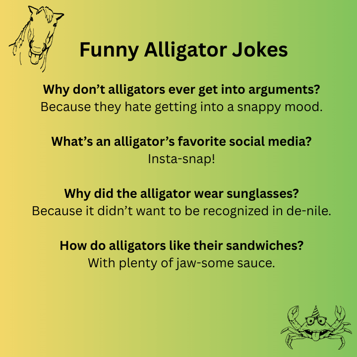 Funny Alligator Jokes 