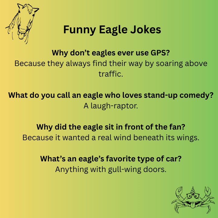 Funny Eagle Jokes