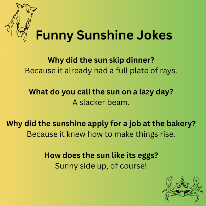 Funny Sunshine Jokes