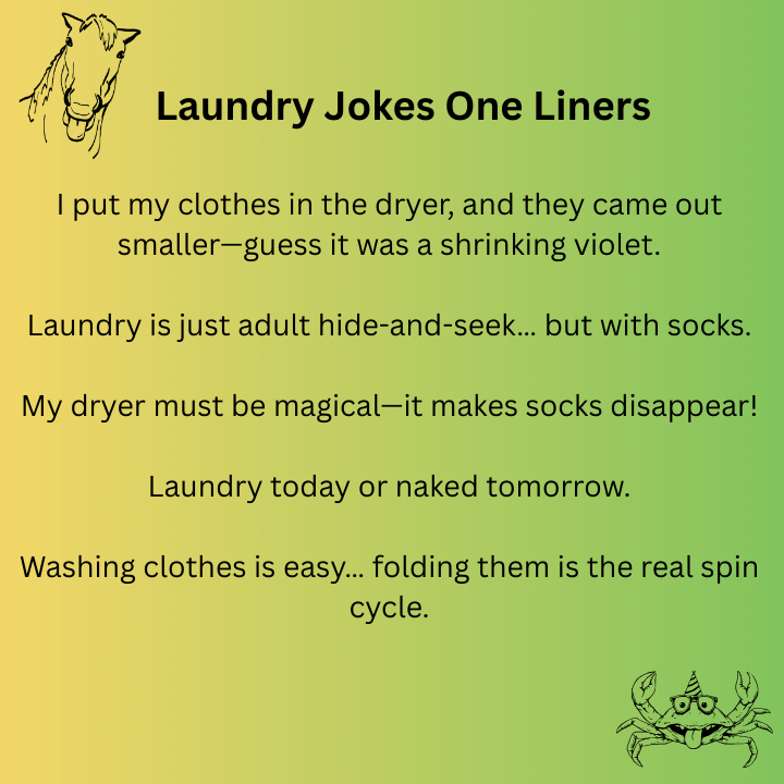 Laundry Jokes One Liners 