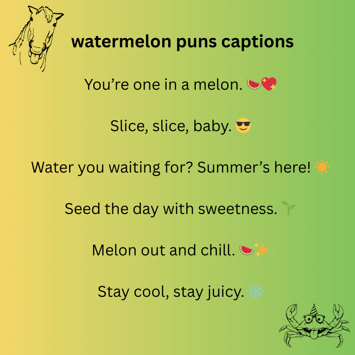 watermelon puns captions