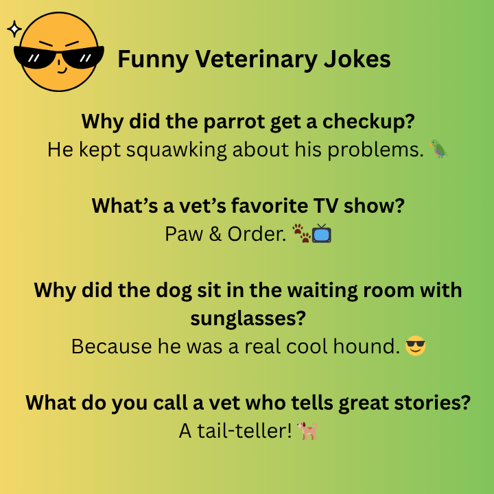 Funny Veterinary Jokes