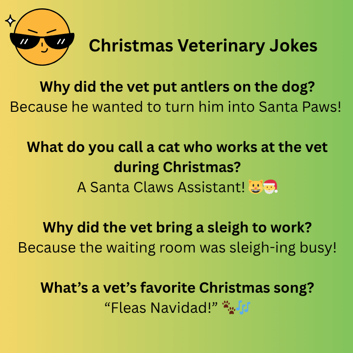 Funny Veterinary Jokes