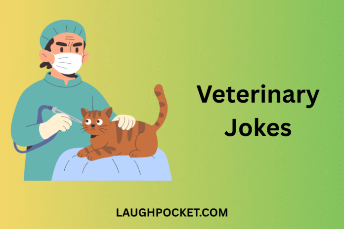 Veterinary Jokes