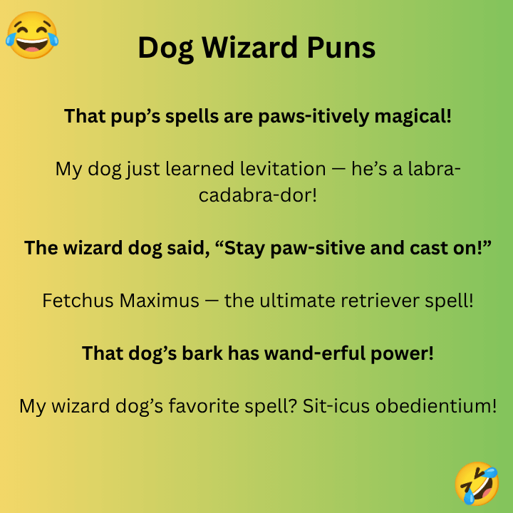 Dog Wizard Puns
