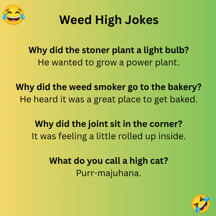 Weed High Jokes