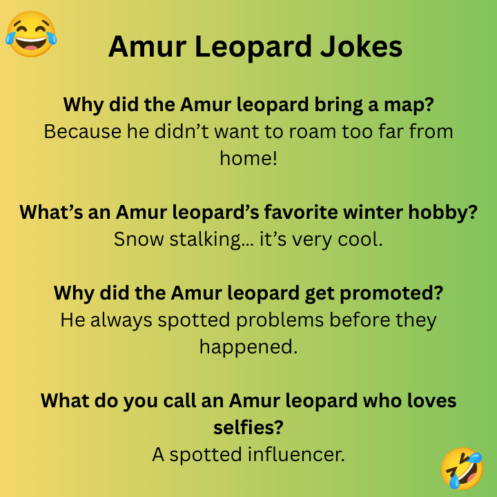Amur Leopard Jokes