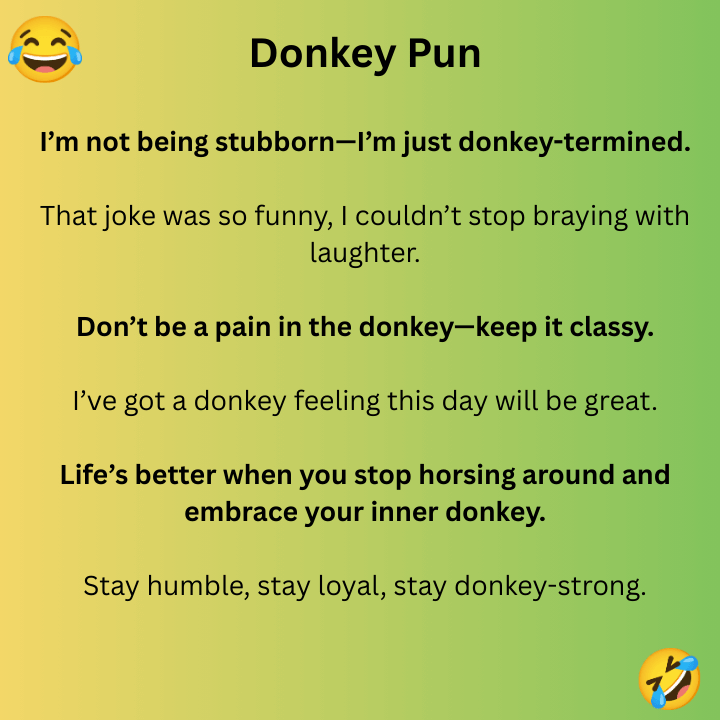 Donkey Pun