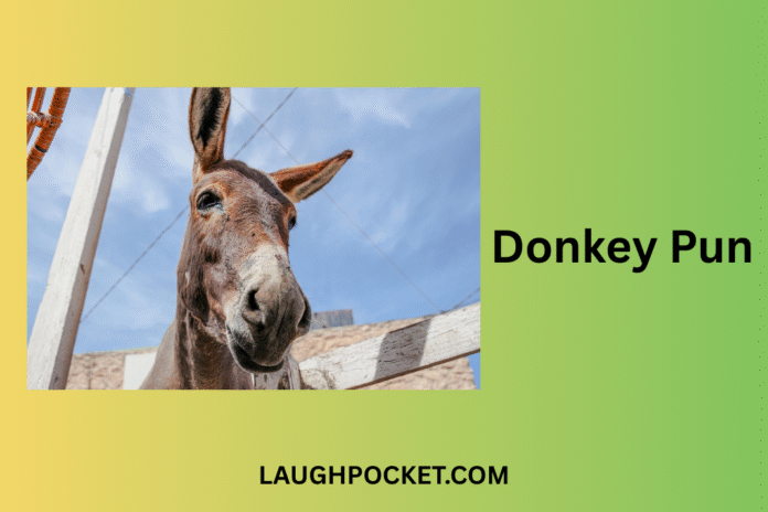 Donkey Pun