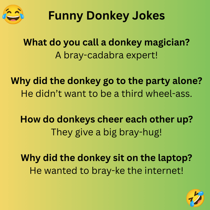 Funny Donkey Jokes