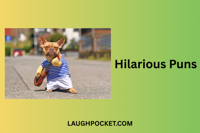 Hilarious Puns