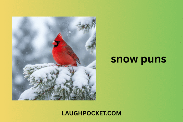 snow puns