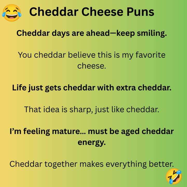 Cheddar Cheese Puns 