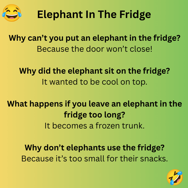 Elephant In The Fridge