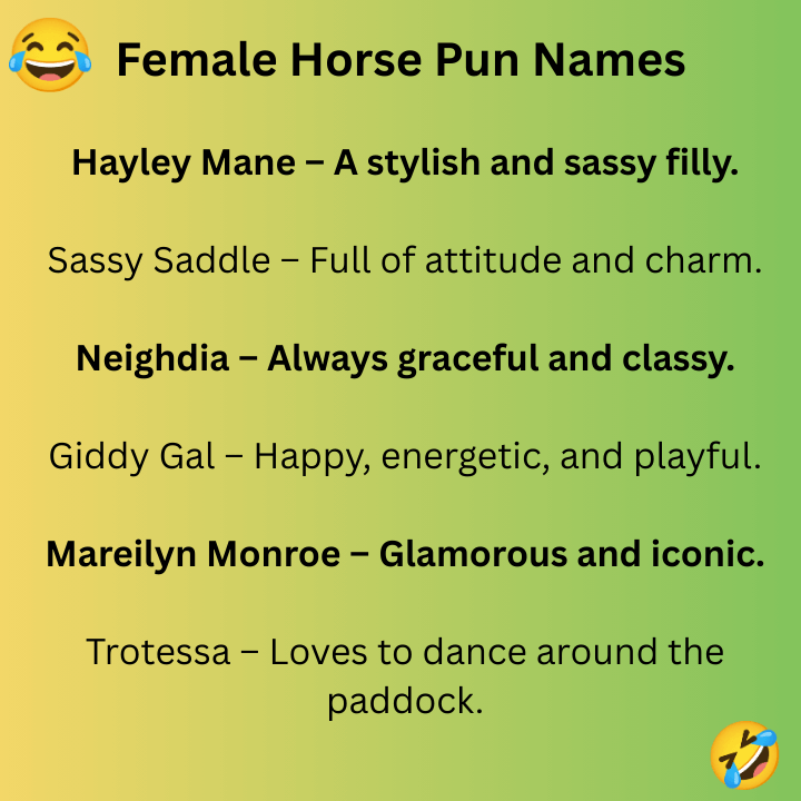 Female Horse Pun Names