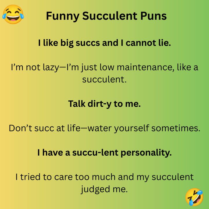 Funny Succulent Puns