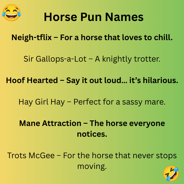 Horse Pun Names
