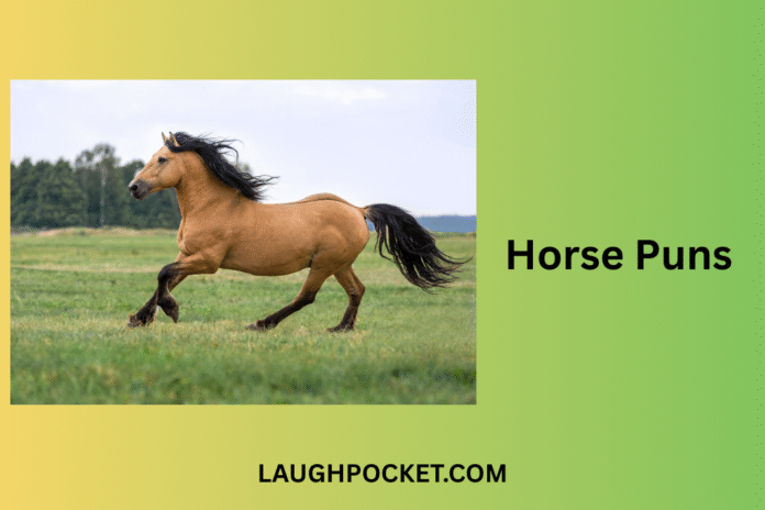 Horse Puns