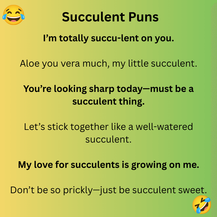 Succulent Puns