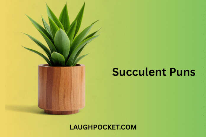 Succulent Puns