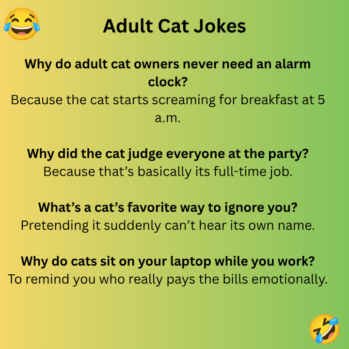 Adult Cat Jokes