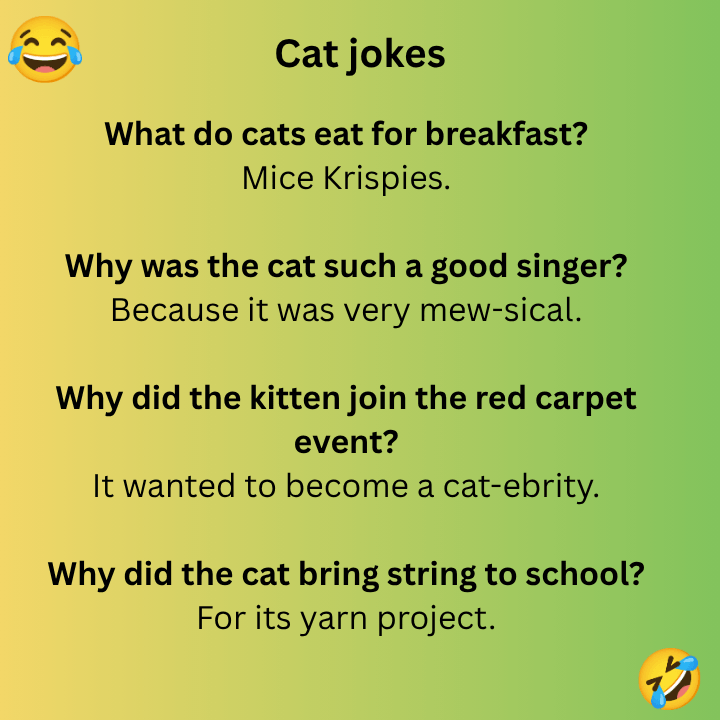 Cat jokes 