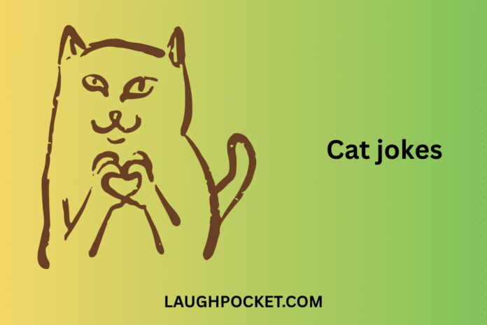 Cat jokes