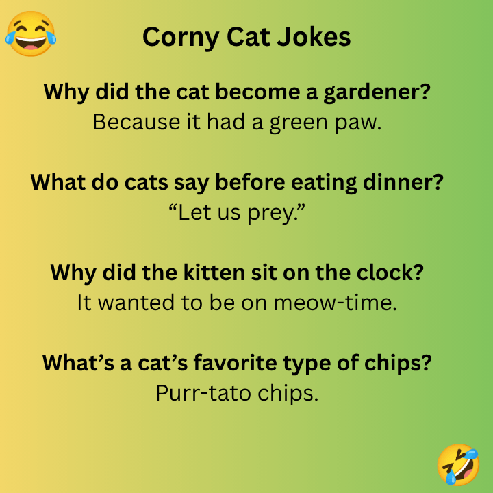 Corny Cat Jokes