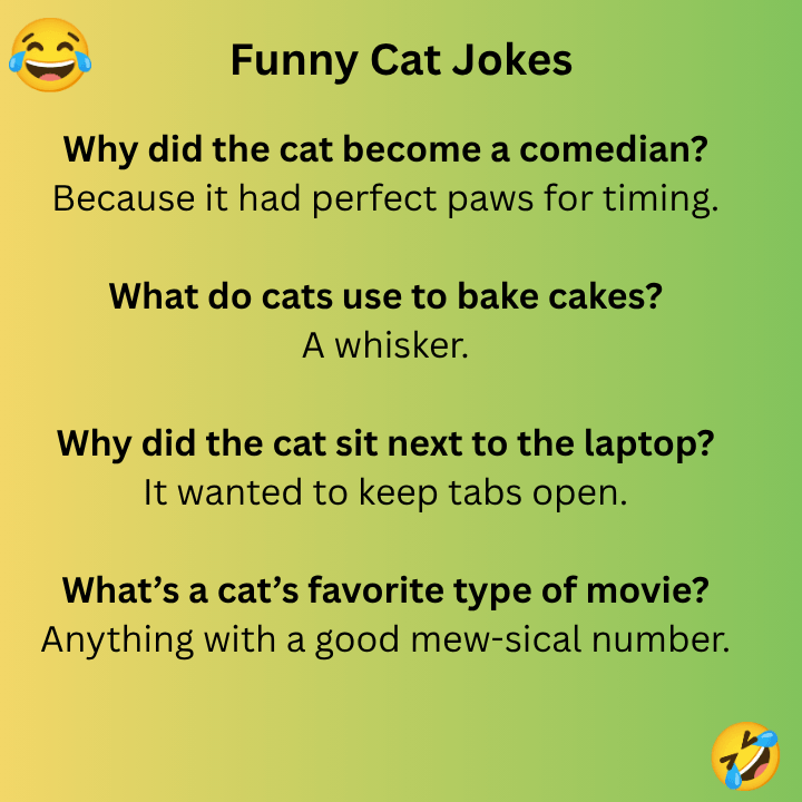 Funny Cat Jokes 