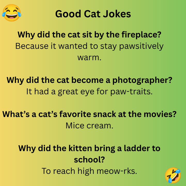 Good Cat Jokes