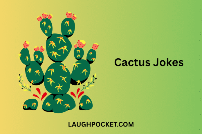 Cactus Jokes