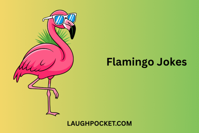 Flamingo Jokes